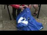 Get 3 Archive Videos with women enjoying shiny nylon Downwear from our Archive 2010 6