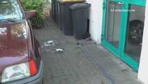 048003 Sandra Follows Kathy's Example And Pees In The Parking Area 6