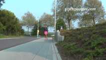 047032 Yassie Pees Near A Busy Main Road 4