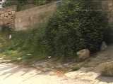 030014 Salma Pees A Long Stream Down The Lane 8