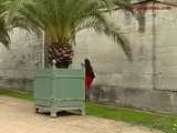 016094 Eve Takes A Daring Pee By The Plant Pot 6