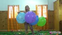 Angelica 13 8