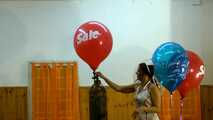 dany 308 8