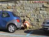 016124 Eve Is Spotted Peeing In The Street 7