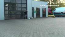 047035 Yassie Takes A Daring Pee Outside The Van Dealership 4