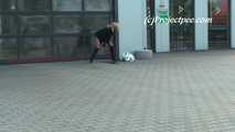 047035 Yassie Takes A Daring Pee Outside The Van Dealership 7