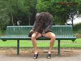 029010 Robyn Pees Through The Park Bench 5