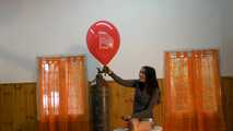 dany 288 5