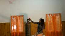 dany 288 7