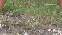 047001 Lovely Yassie's Debut Scene 9