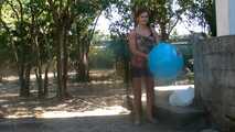 bibi 23 5