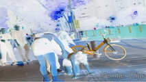 HDC Bonus - Visions of Asia 7